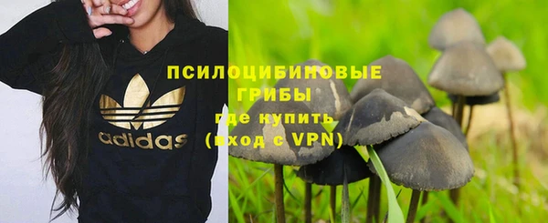 эйфоретик Алексеевка